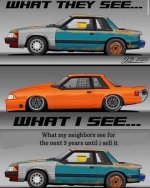 May be an image of ‎car and ‎text that says '‎WHAT THEY SEE.-- JB 2020 د0o ISEE... What my ne...jpeg