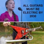 May be an image of 2 people, guitar and text that says 'ALL GUITARS MUST BE ELECTRIC BY 2030'.jpeg