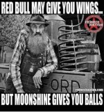 May be an image of 1 person and text that says 'RED BULL MAY GIVE YOU WINGS... REDNECK NATION...jpeg