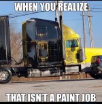 May be an image of text that says 'WHEN YOU REALIZE A THAT ISN'T A PAINT JOB'.jpeg