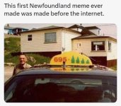 May be an image of 1 person and text that says 'This first Newfoundland meme ever made was ma...jpeg