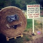 May be an image of text that says 'WARNING HAVING SEX IN OUR FIELD IS NOT SAFE STAY HOME STAY...jpeg