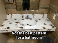 May be an image of 1 person and text that says 'Not the best pattern for a bathroom'.jpeg