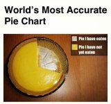 May be an image of text that says 'World's Most Accurate Pie Chart Pie have eaten Pie have no...jpeg