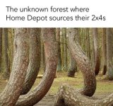 May be an image of tree and text that says 'The unknown forest where Home Depot sources their...jpeg