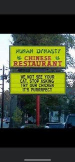 May be an image of text that says 'XUNAN DYNASTY 福 CHINESE 福 RESTAURANT WE NOT SEE YOUR CAT. ...jpeg